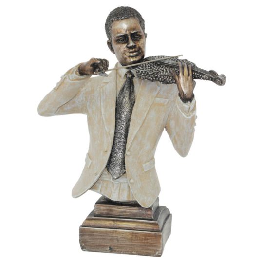 Man Musician With Violin